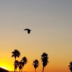 Meet your Posher, Edward